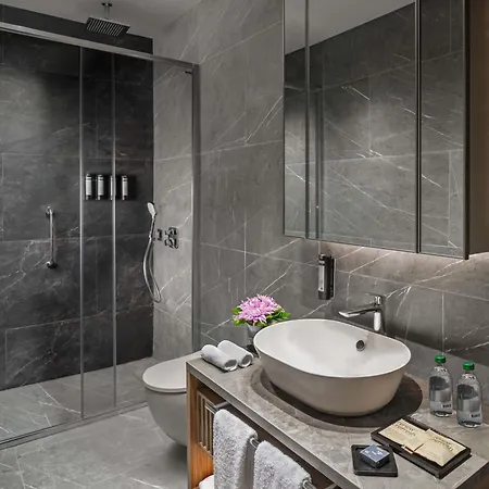 Ξενοδοχείο Moevenpick Living Saklivadi 4*